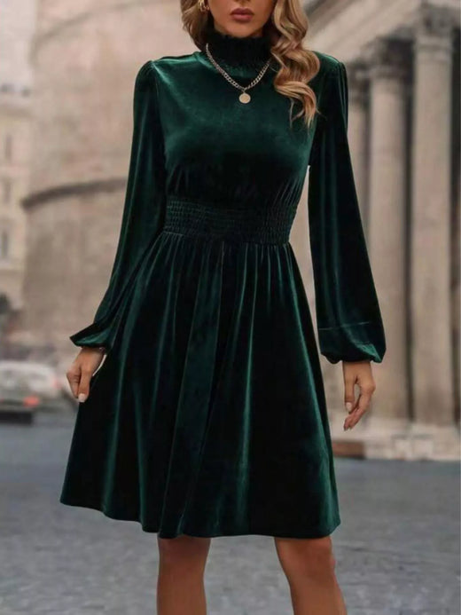 Velvet High Neck Long Sleeve A-Line Dress - alternate view 4