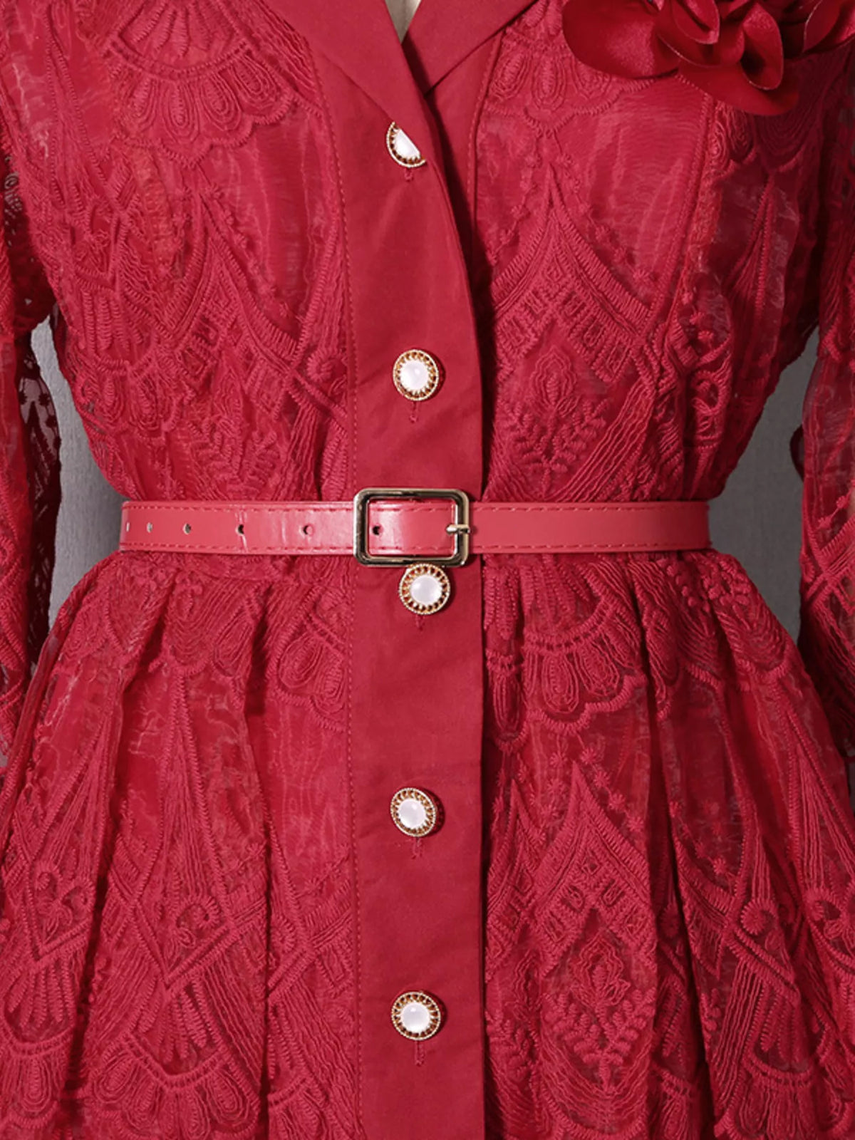 Lace Button Front Midi Dress - alternate view 14