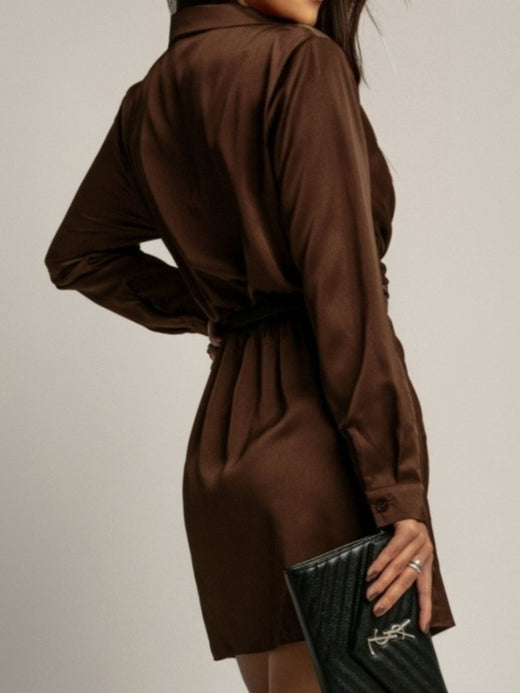 Collared Neck Long Sleeve Satin Dress - alternate view 3