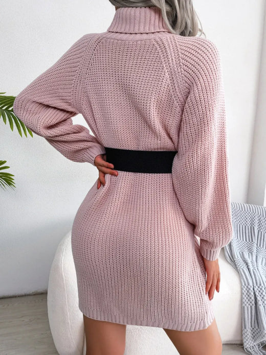 Decorative Button Turtleneck Sweater Dress - alternate view 3
