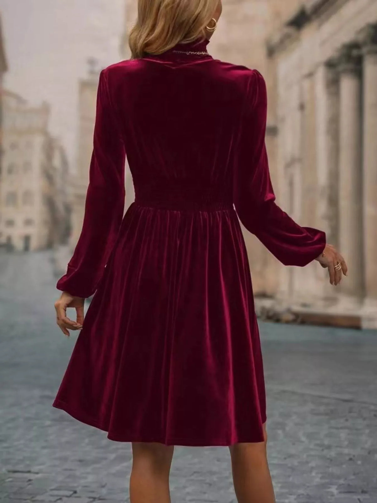 Velvet High Neck Long Sleeve A-Line Dress - alternate view 2