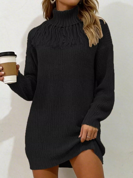 Full Size Turtleneck Fringe Detail Sweater Dress Plus Size - alternate view 4