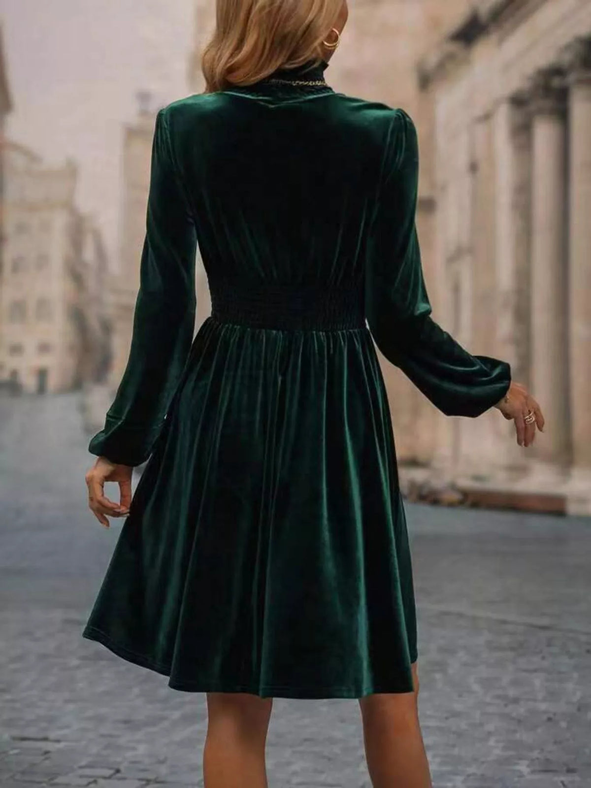 Velvet High Neck Long Sleeve A-Line Dress - alternate view 5